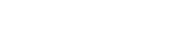 Vincent Group Inc.
